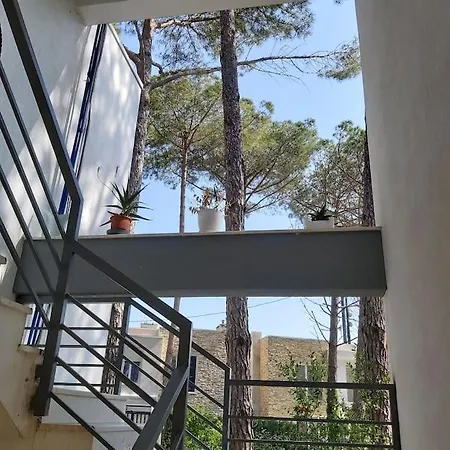 Sara's Cozy In Lalzi Bay Durrës